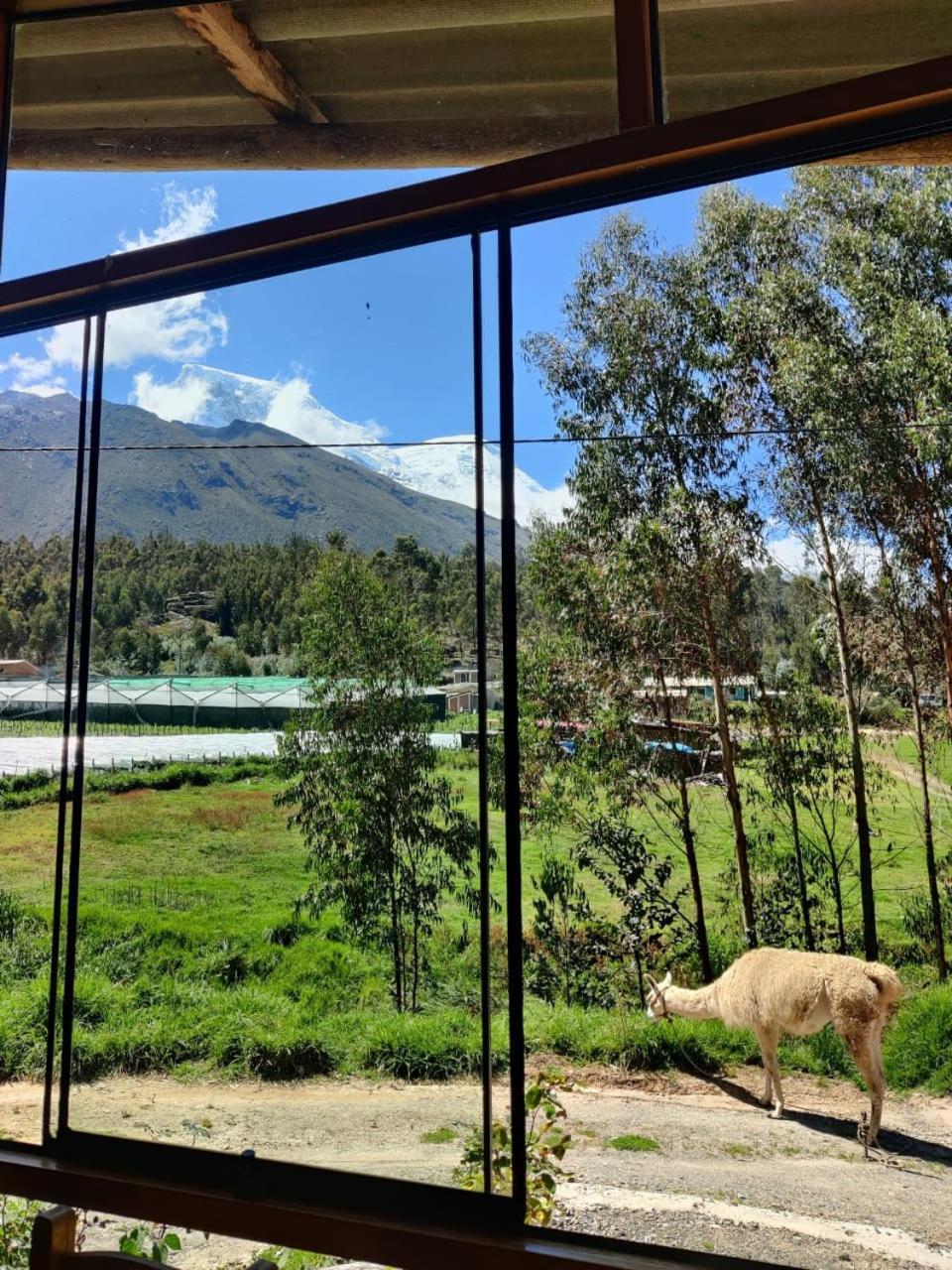 Tullpa Rumy Lodge Yungay Exterior photo